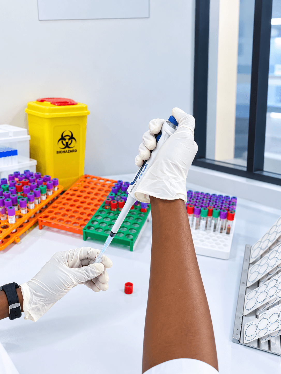 Gloved hands pipetting a sample beside racks of blood tubes